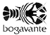 bogavante